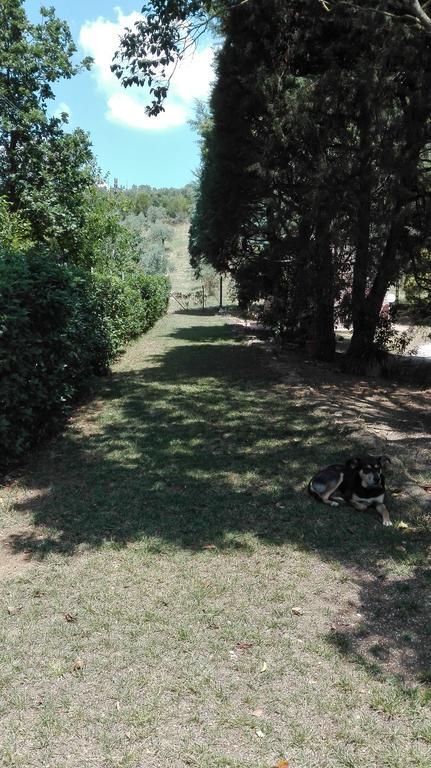Agriturismo San Lino-Gilberto マッサ・マリッティマ エクステリア 写真